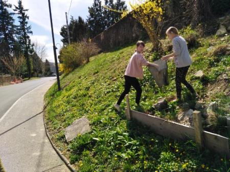 image000002001 (002)